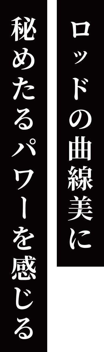 ロッドの曲線美に秘めたるパワーを感じる