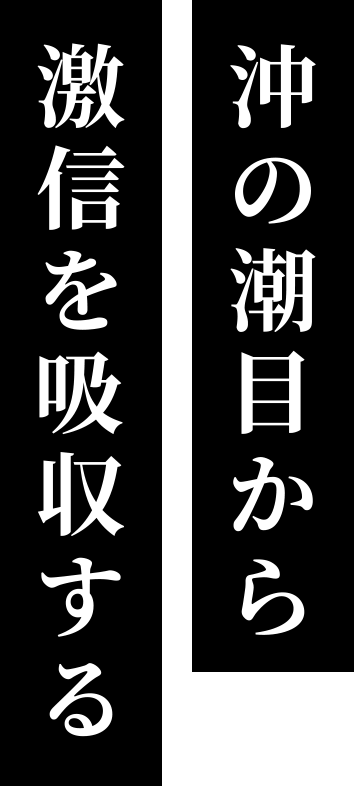 沖の潮目から激信を吸収する