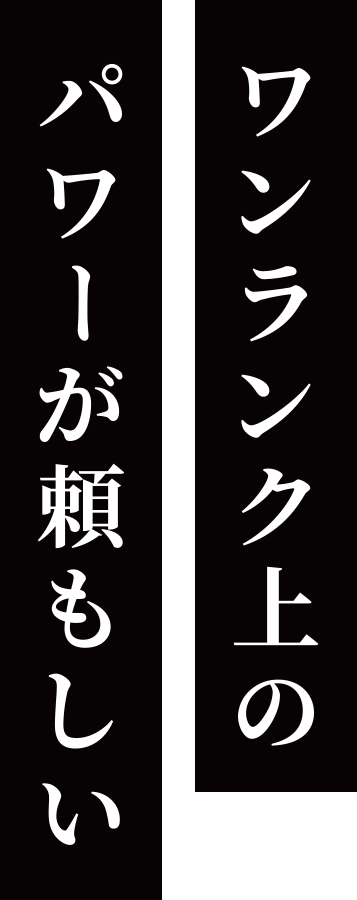 ワンランク上のパワーが頼もしい