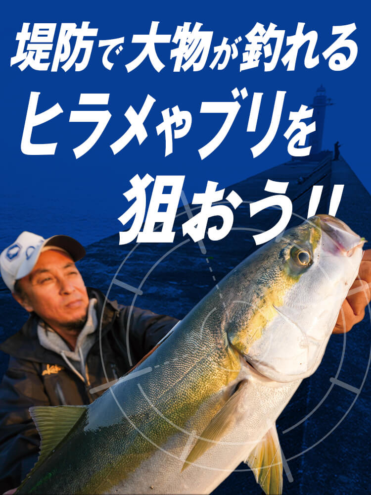 堤防で大物が釣れる ヒラメやブリを狙おう！