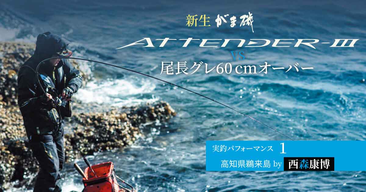 がま磯アテンダーⅢ | 実釣パフォーマンス1 高知県鵜来島by西森康博