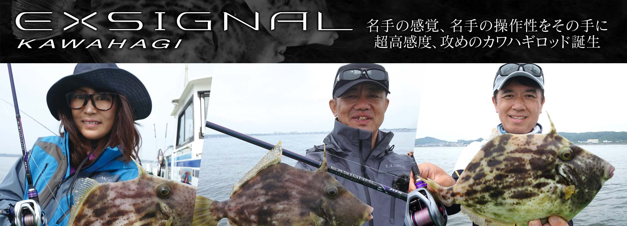 EXSIGNAL KAWAHAGI　バナー画像