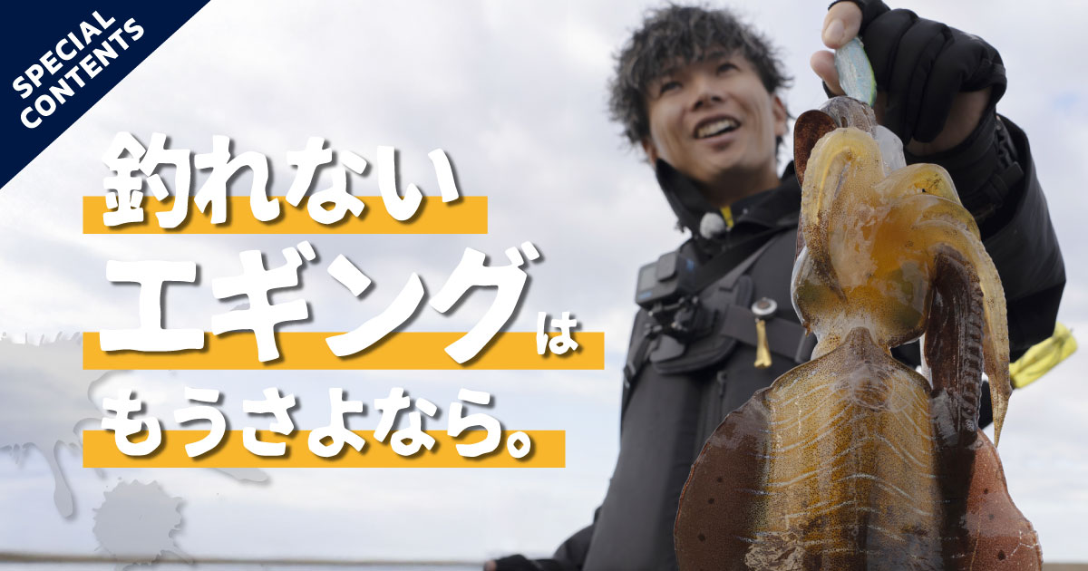 釣れないエギングはもうさよなら。 | がまかつ