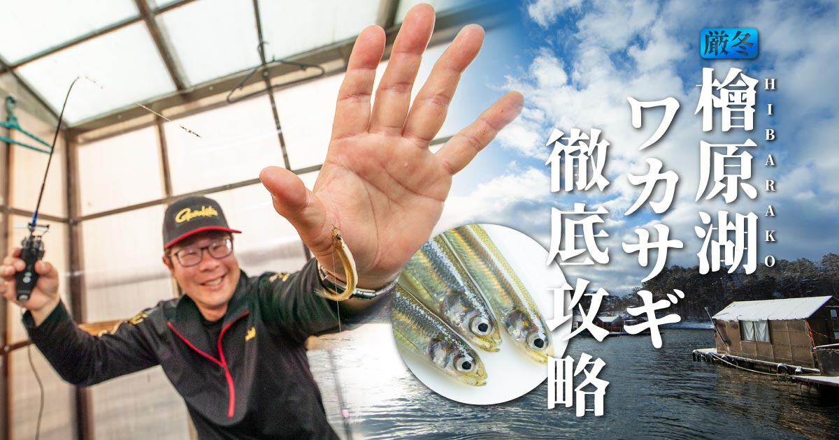 厳冬 桧原湖ワカサギ徹底攻略 | がまかつ