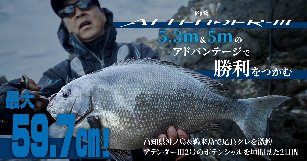 【がまかつ】 がま磯 アテンダー 1.5-5.3 15-53 GAMAKATU