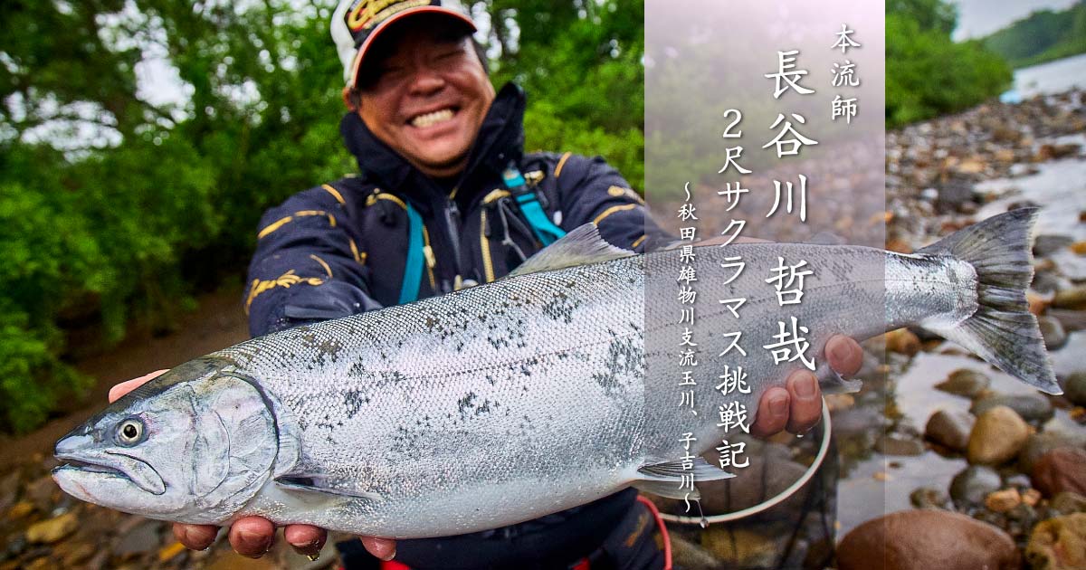 本流師 長谷川 哲哉 2尺サクラマス挑戦記～秋田県雄物川支流玉川、子