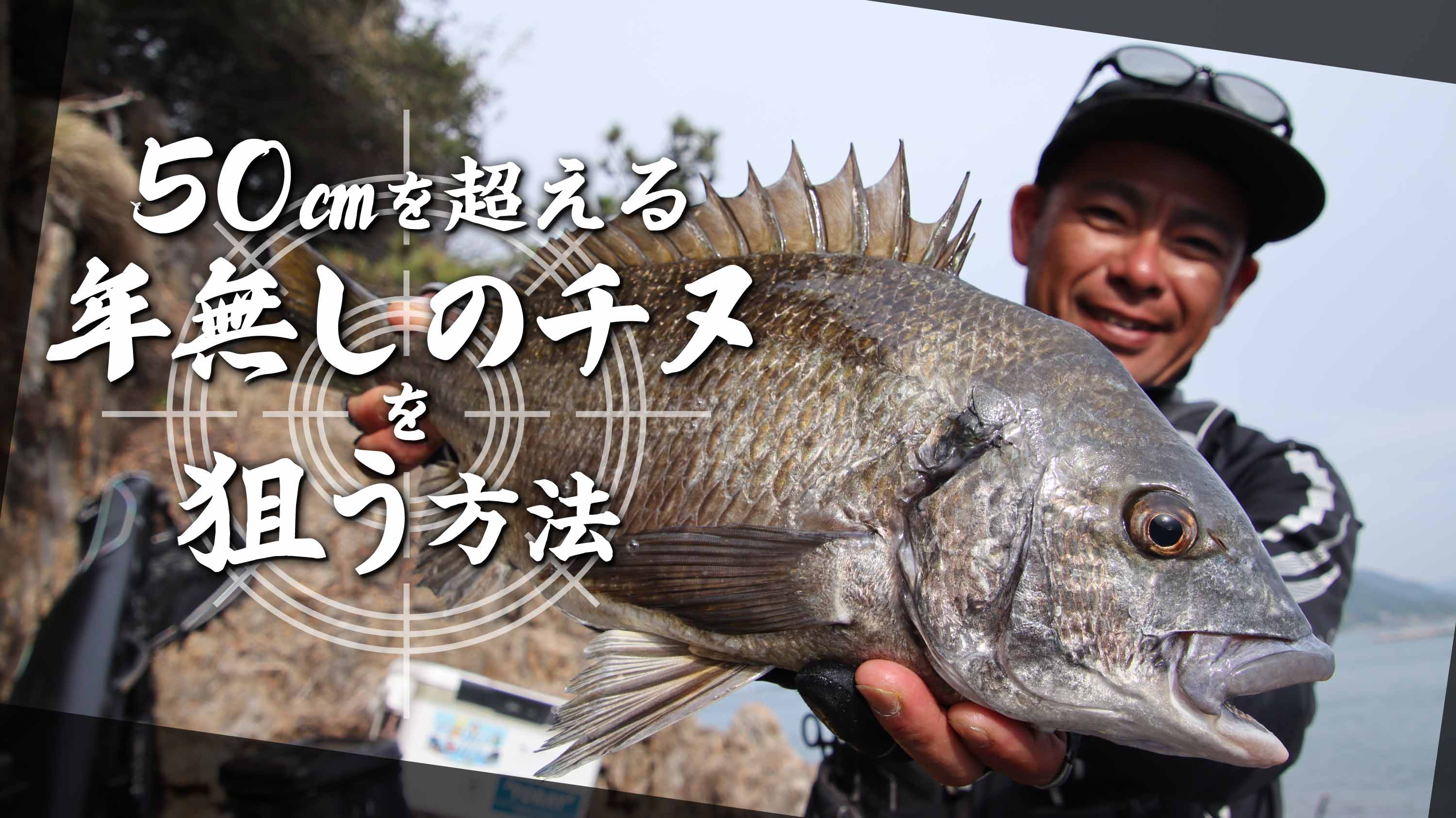50㎝を超える年無しのチヌを狙う方法