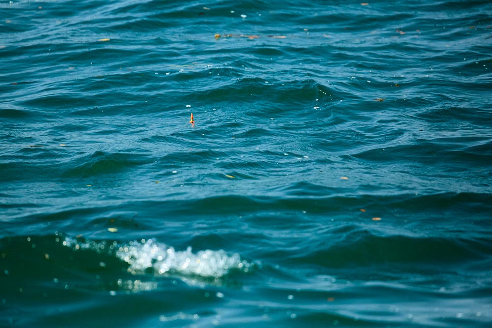 海面からウキの一部が覗いている写真