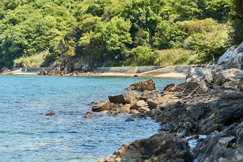 崖から崩れるゴロタがある海岸線