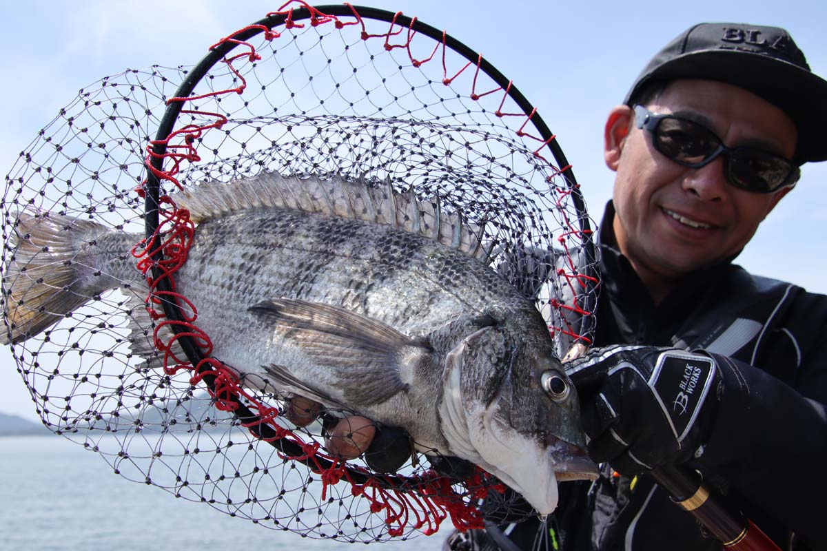 釣り上げたチヌをタモ網から顔を出すように持ち、微笑みを見せる波多