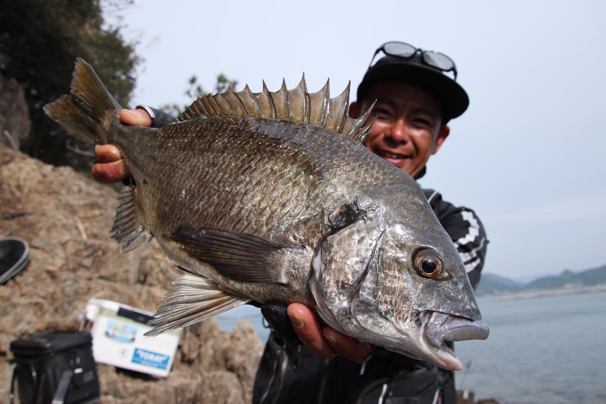 釣り上げた大型チヌを両手に持ち、笑顔を見せる波多