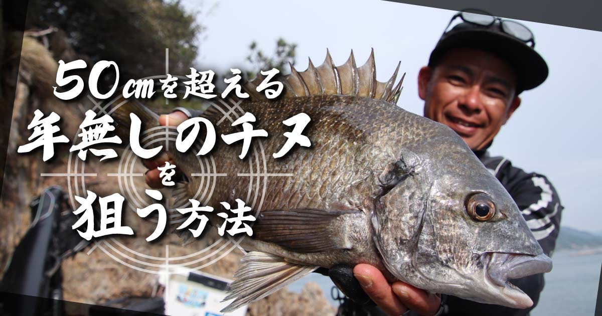 落とし込み チヌ 黒鯛bj85 ＜2-1＞3日間の割引、もう値引き交渉は不要 ZM落とし込み黒鯛 シリーズ｜【FunTool（ファンツール）】釣道具