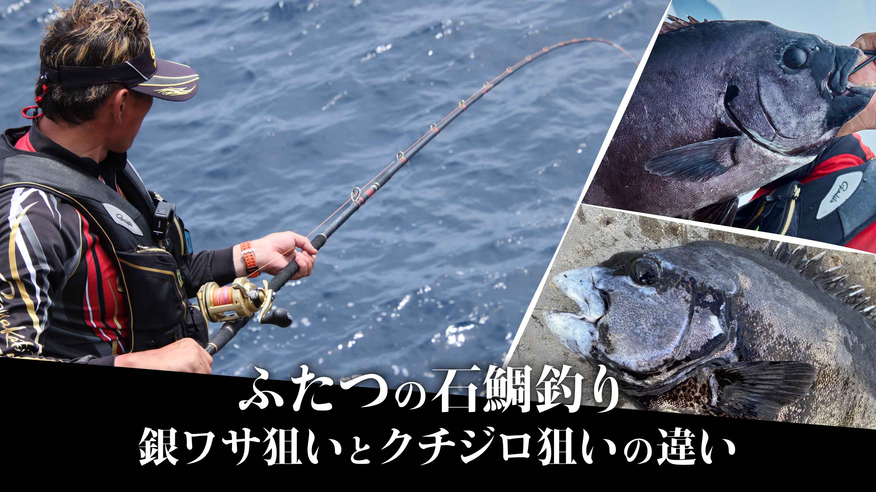 ふたつの石鯛釣り 銀ワサ狙いとクチジロ狙いの違い