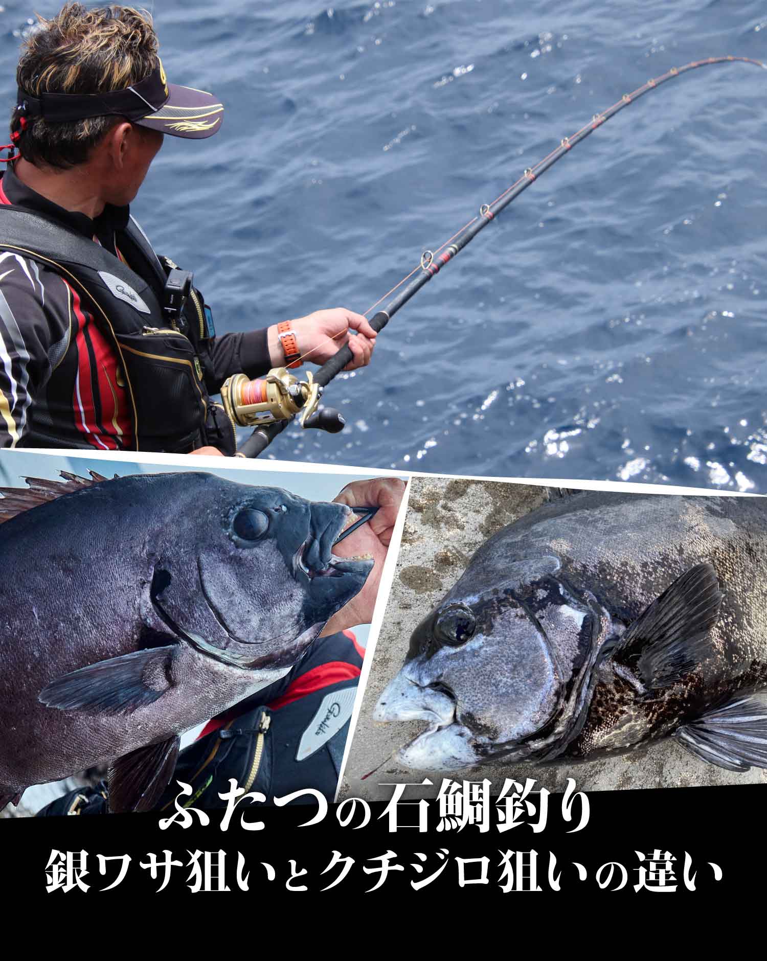 ふたつの石鯛釣り 銀ワサ狙いとクチジロ狙いの違い