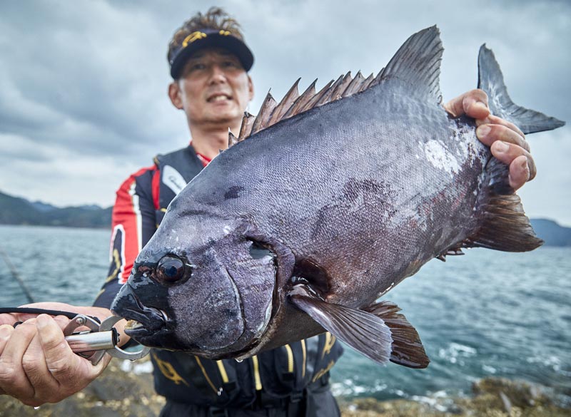 早田昭浩 写真