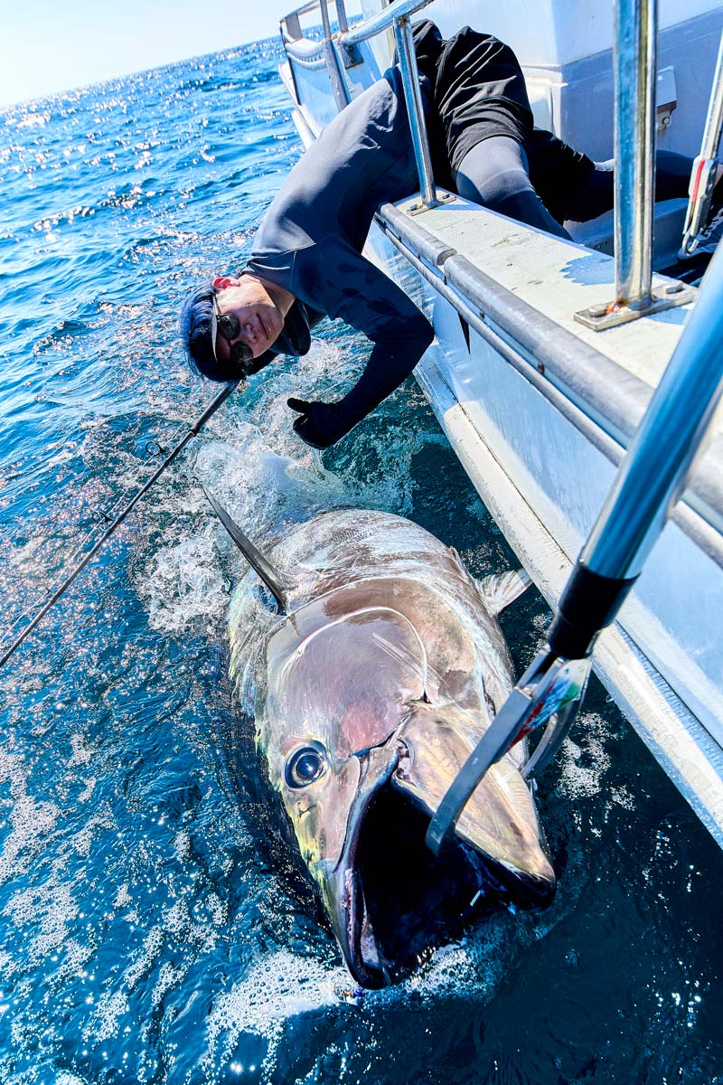 マグログリップに掴まれ海面から上体を見せる大型クロマグロと共に、船から身を乗り出して記念撮影をする田中