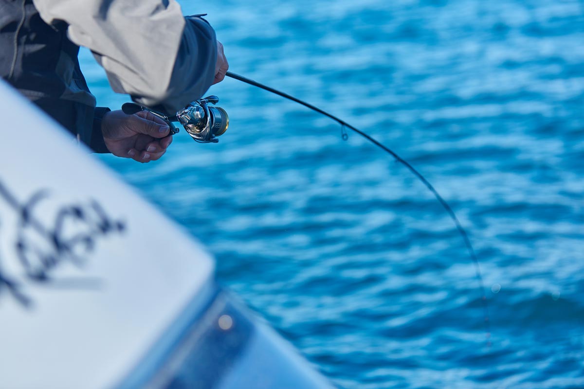 大きく弧を描く竿と、それを操作しながらリールを巻く釣り人の手元
