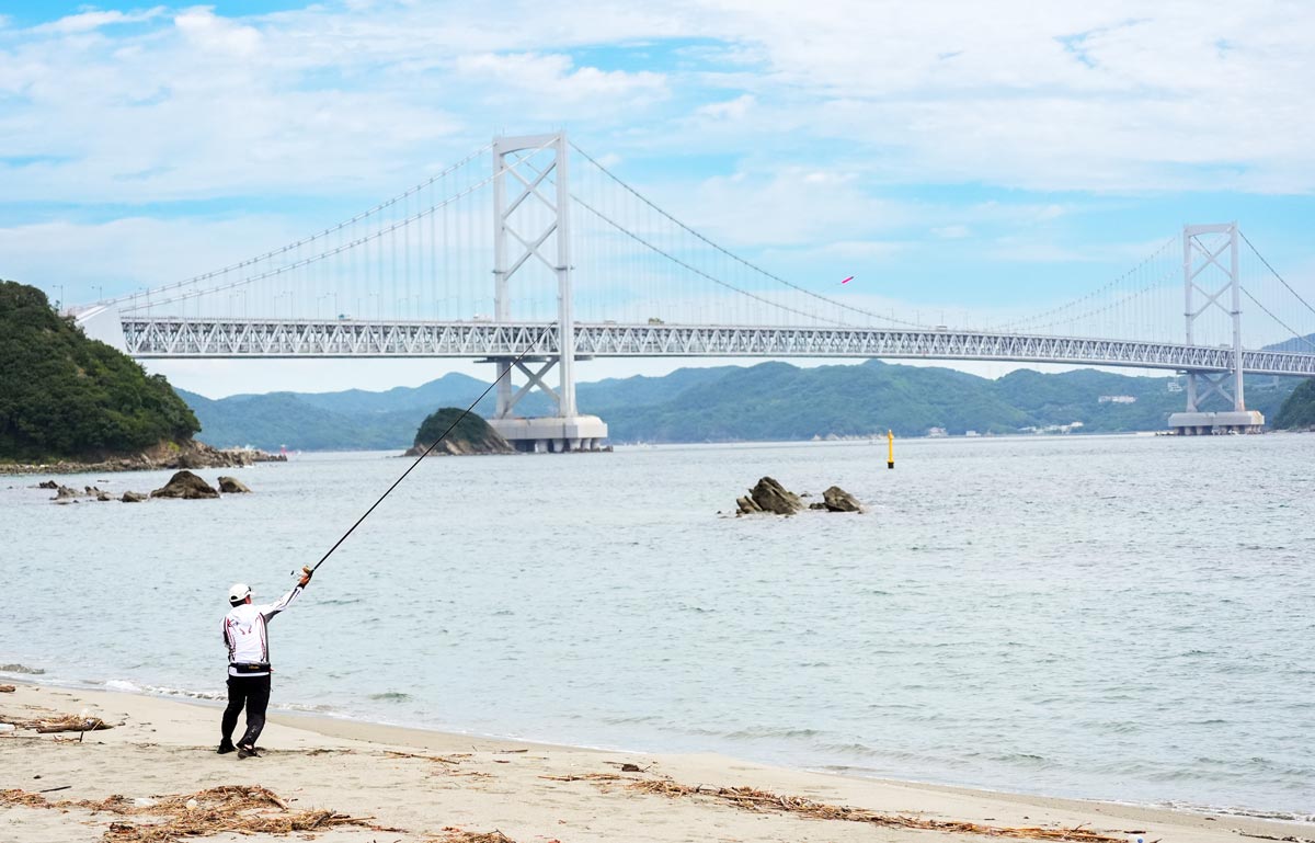 砂浜から竿を振り、仕掛けを投げ込む矢野の背中
