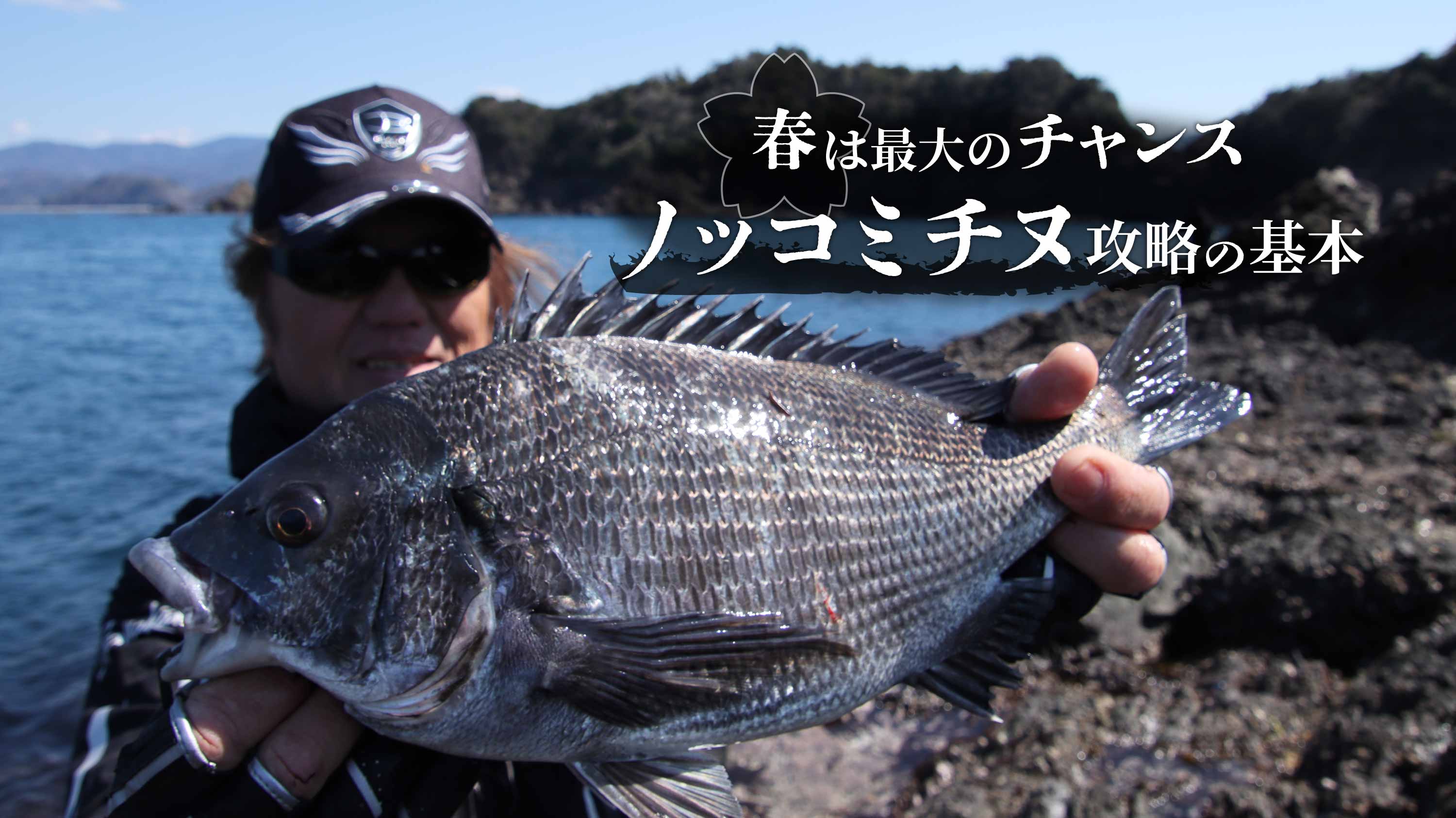 春は最大のチャンス ノッコミチヌ攻略の基本
