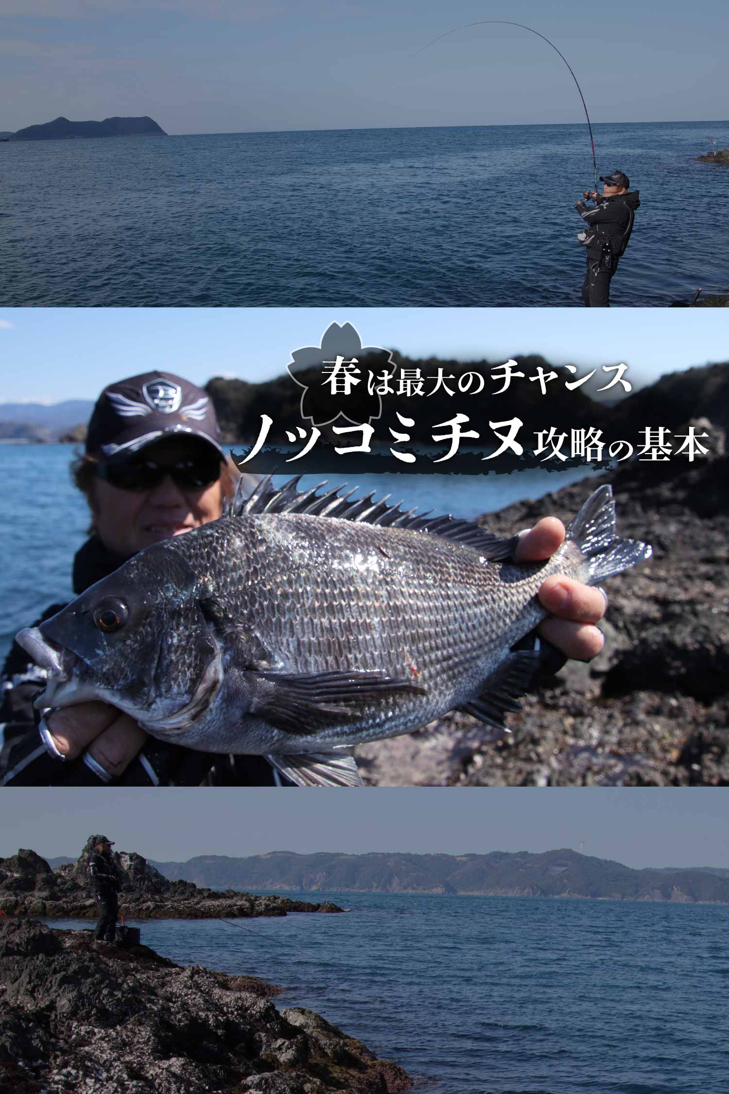 春は最大のチャンス ノッコミチヌ攻略の基本