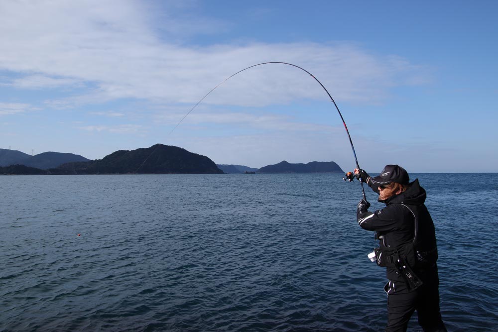 大きく湾曲する竿を操作する前西