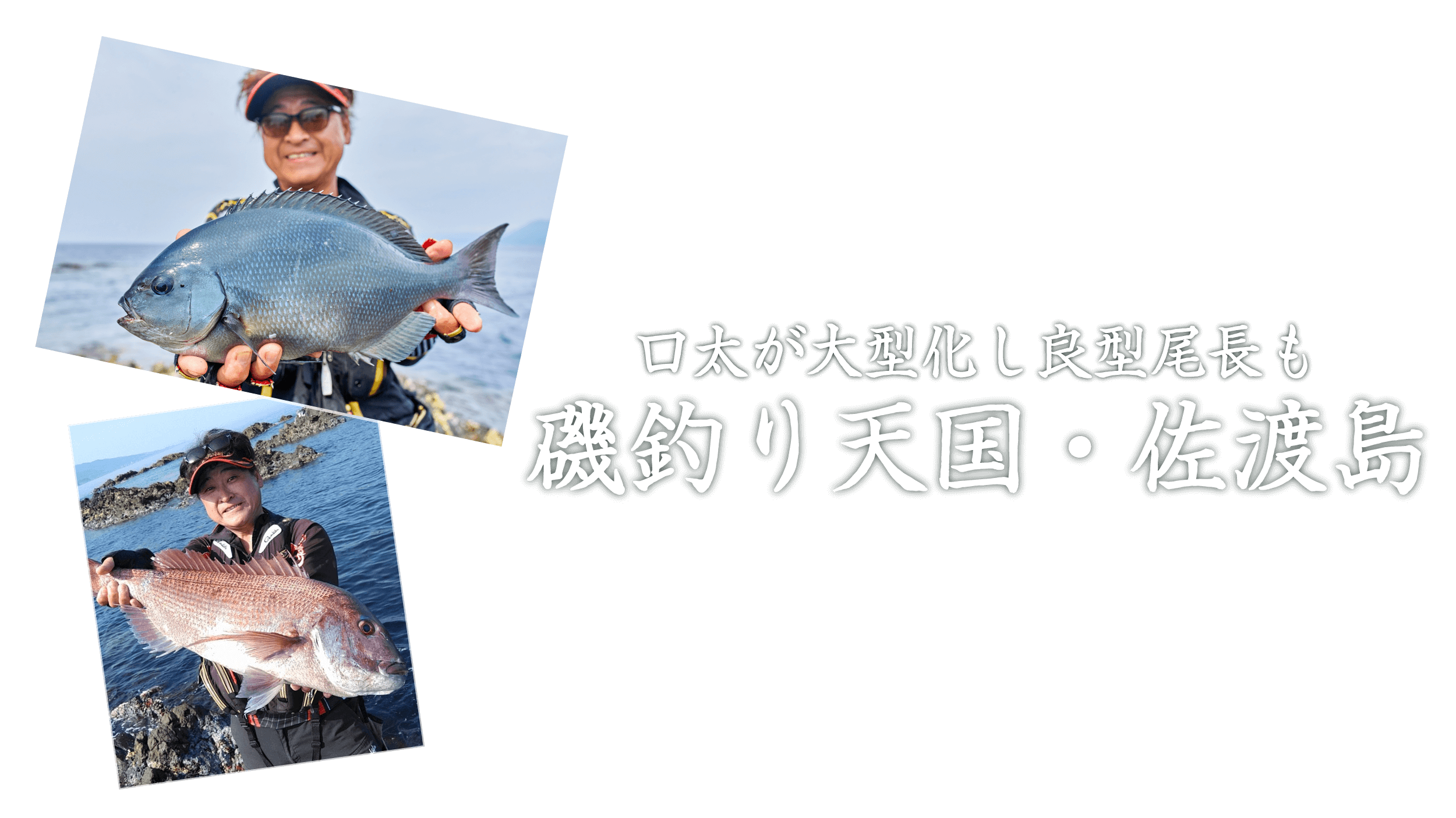 口太が大型化し良型尾長も 磯釣り天国・佐渡島