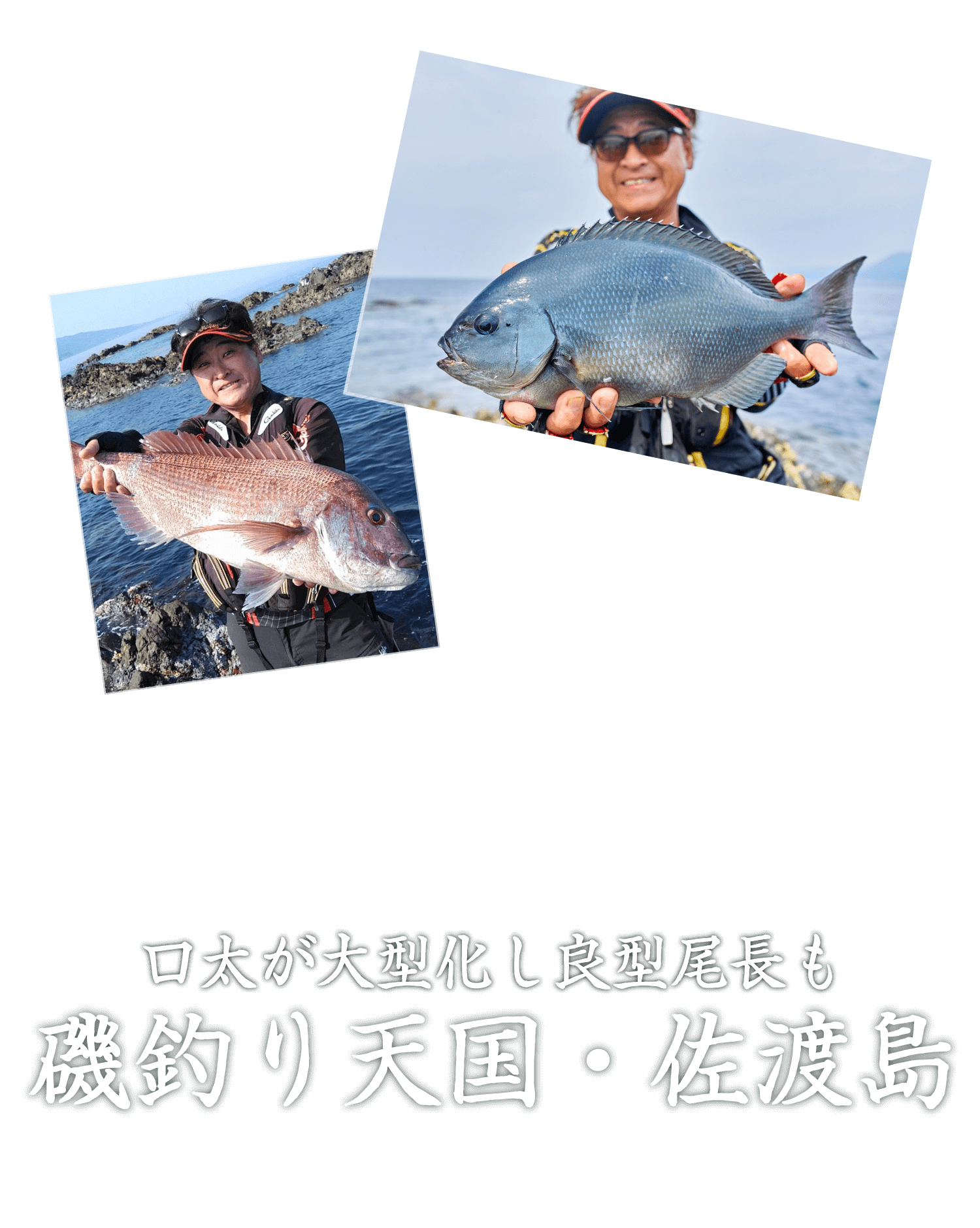 口太が大型化し良型尾長も 磯釣り天国・佐渡島