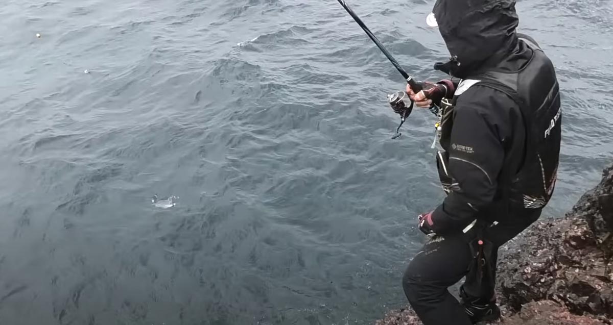 竿を操作する敷地と、海面に姿を現した魚影