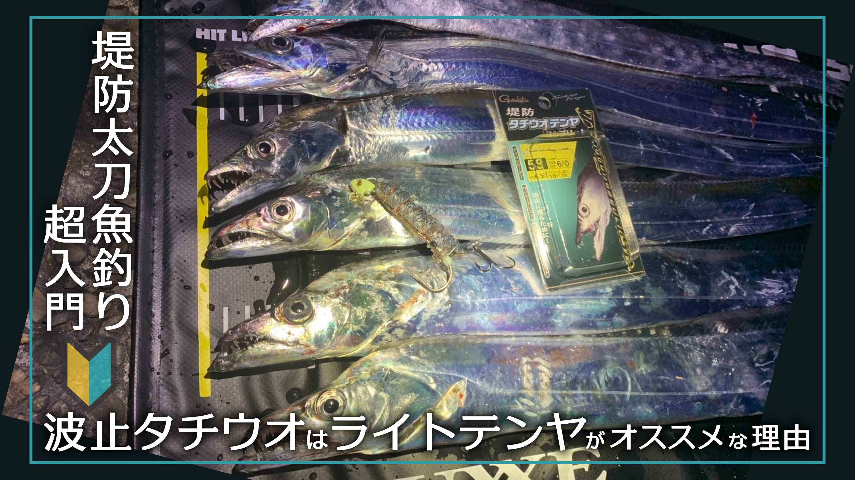 堤防太刀魚釣り超入門 波止タチウオはライトテンヤがオススメな理由