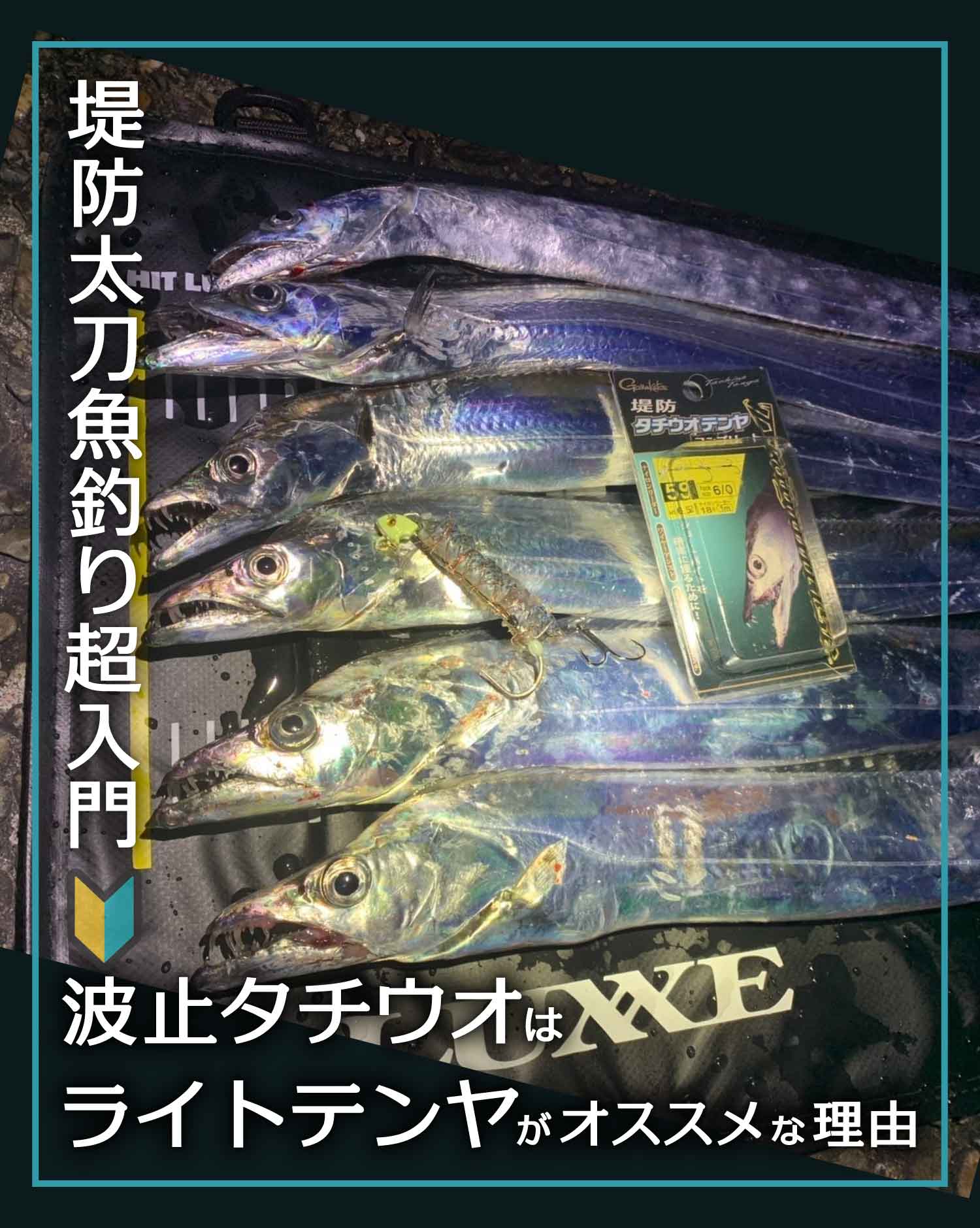 堤防太刀魚釣り超入門 波止タチウオはライトテンヤがオススメな理由