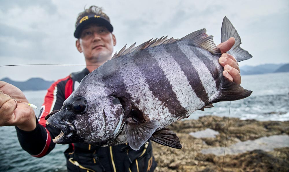 釣り上げた石鯛を手に微笑む早田