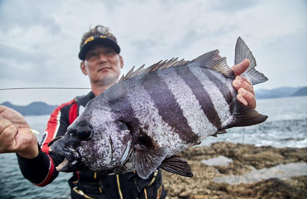 釣り上げた石鯛を手に微笑む早田