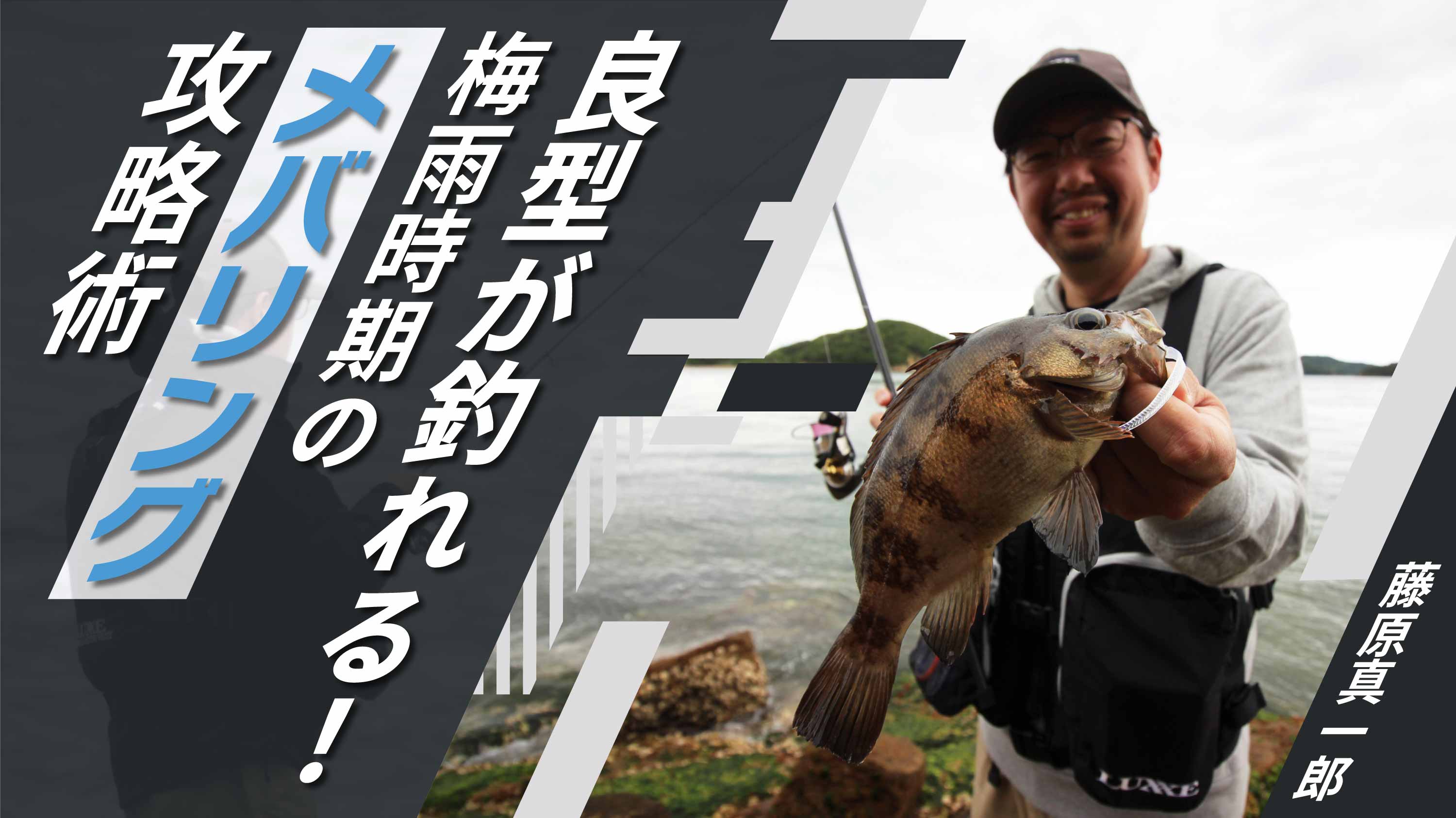 良型が釣れる！梅雨時期のメバリング攻略術