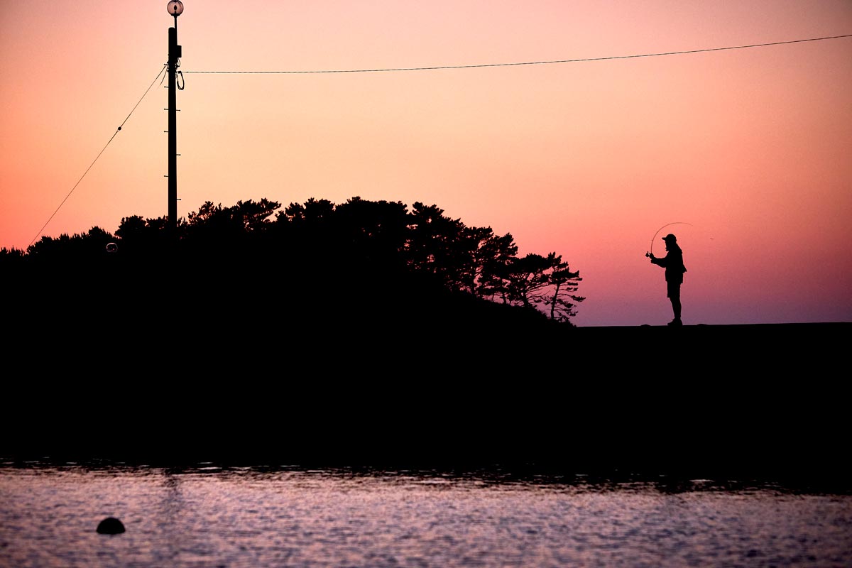 夕焼けの中、竿を振るう藤原の影