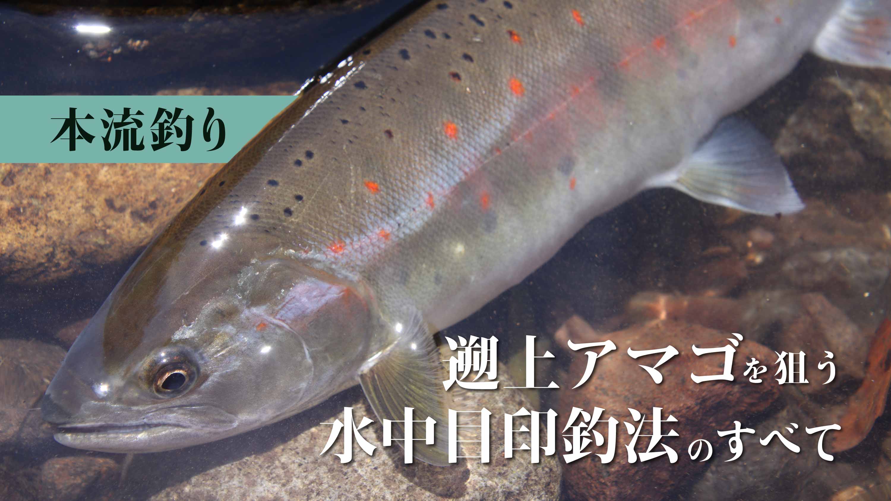【本流釣り】遡上アマゴを狙う水中目印釣法のすべて