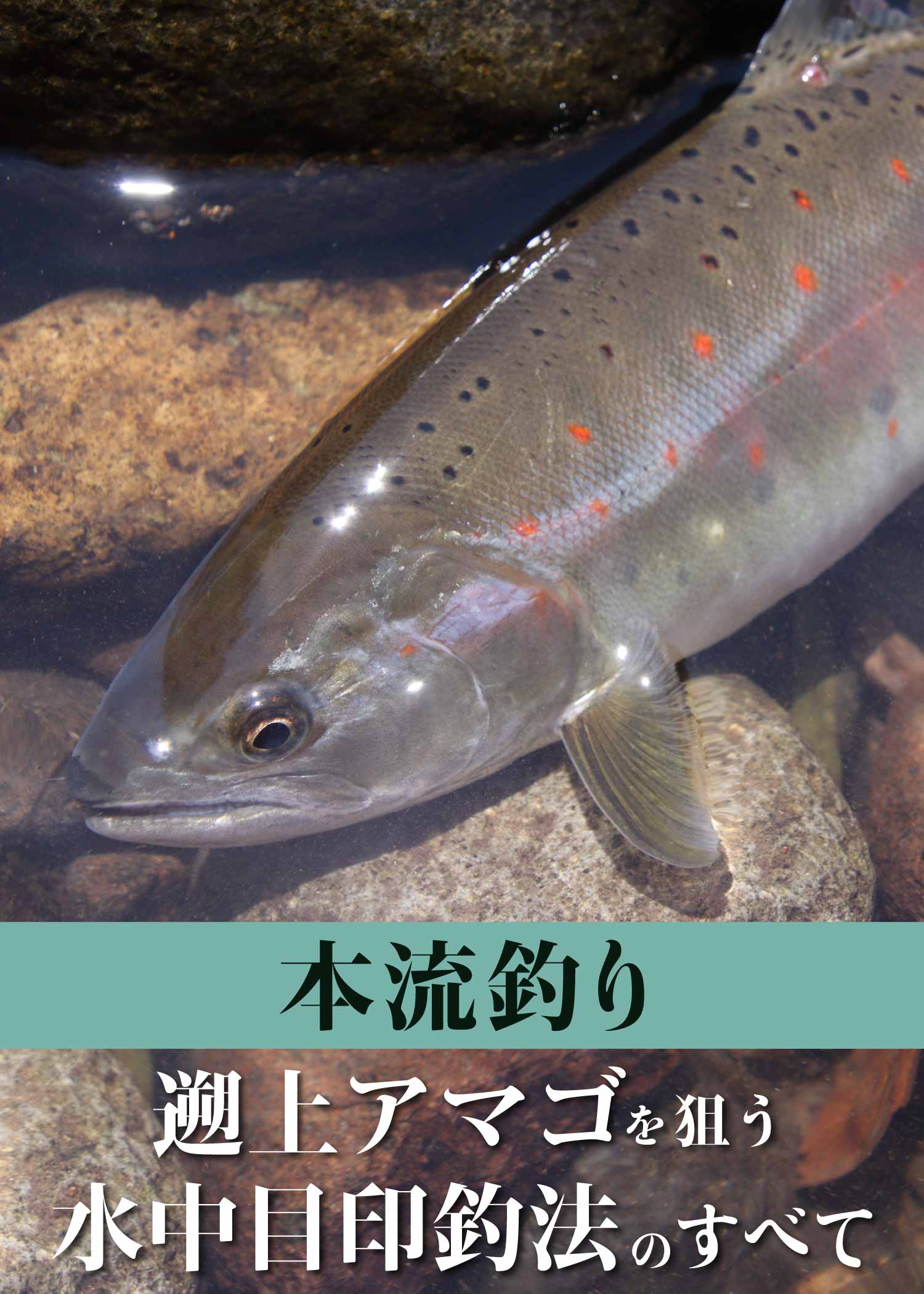 【本流釣り】遡上アマゴを狙う水中目印釣法のすべて