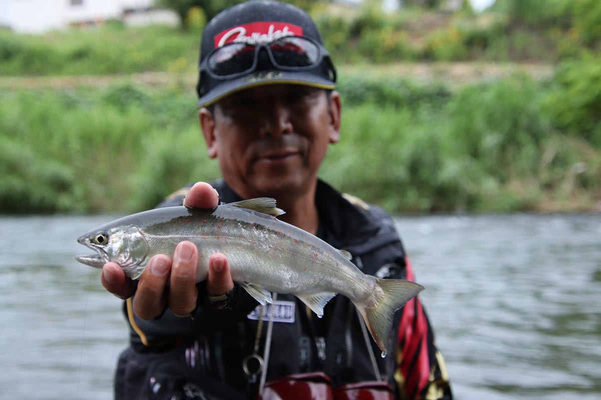 釣り上げたアマゴを右手に持ち、掲げる吉村