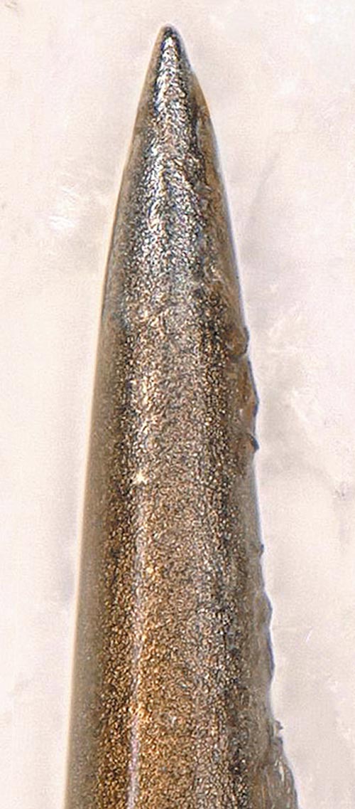 茶鈎の先端画像