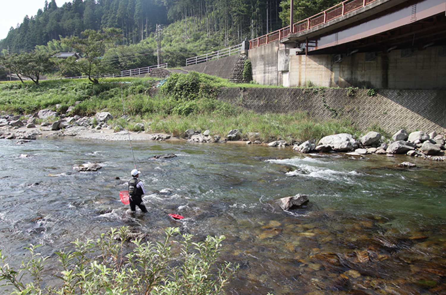 がま鮎競技スペシャルV8 引抜早瀬 88