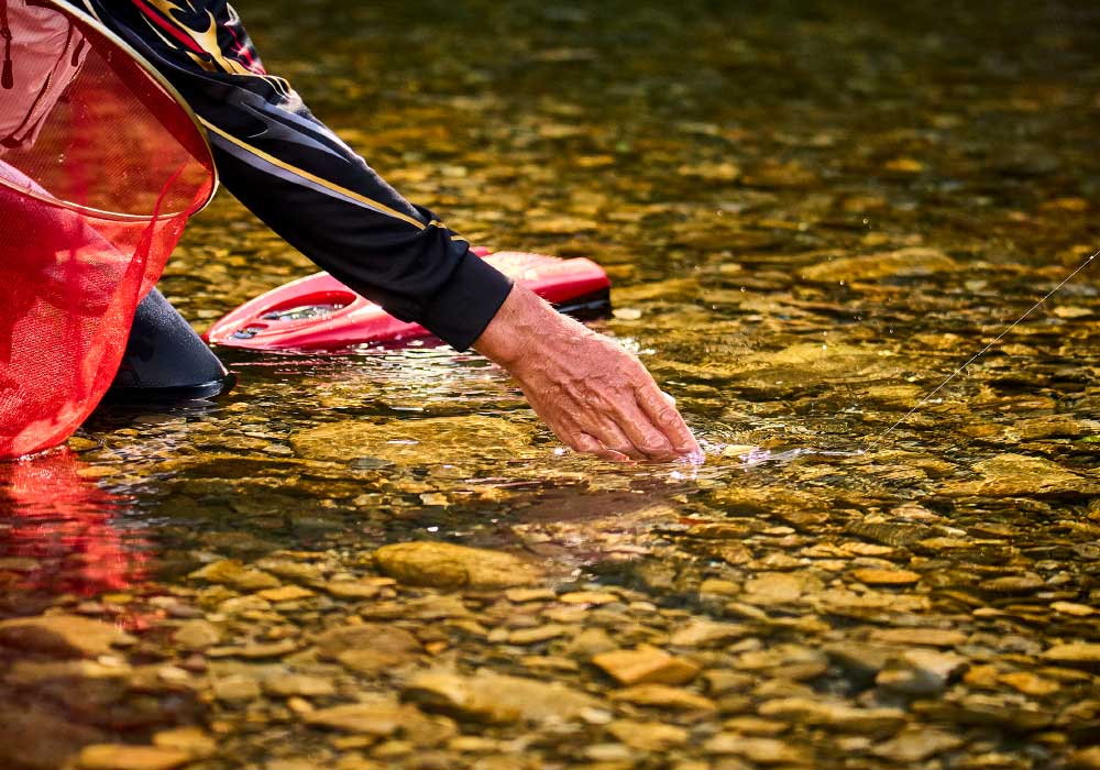がま鮎競技スペシャルV8 極泳がせ 100