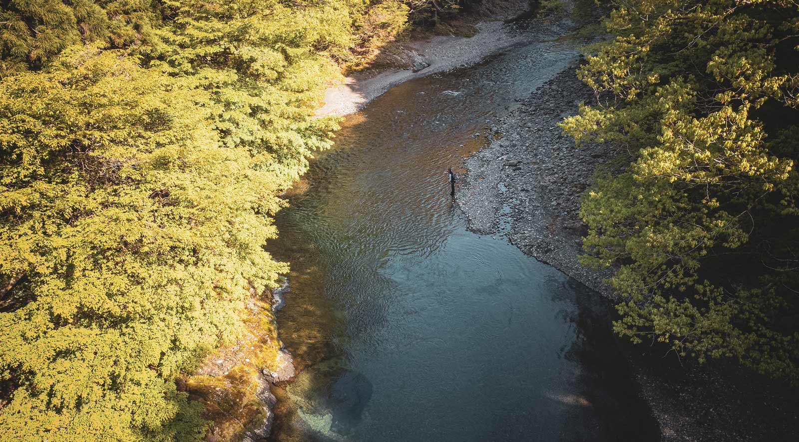 辺りが木々に囲まれた渓流で釣りをする廣岡を捉えた空撮