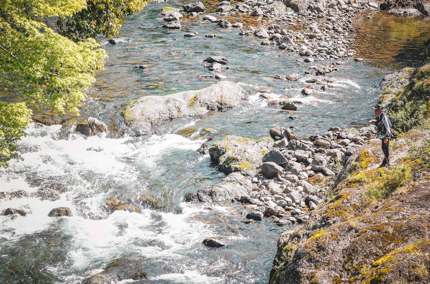 緑豊かで流れの激しい渓流の中で釣りをする廣岡の姿