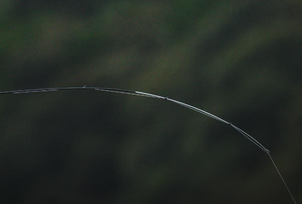 海上釣堀コアスペックⅢの穂先