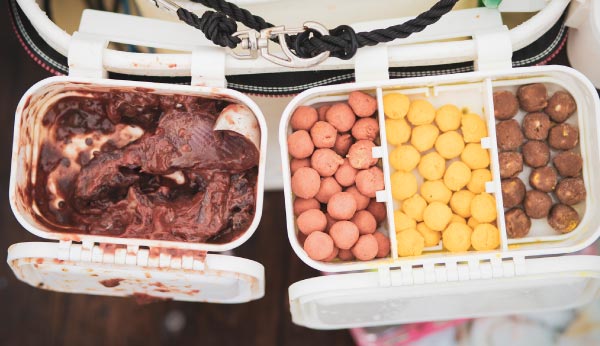 ケースに入れられた様々な種類のエサ