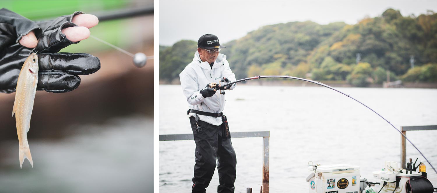 鈎に掛けられたエサのウグイの写真と、大きく弧を描く竿を操作する林の写真