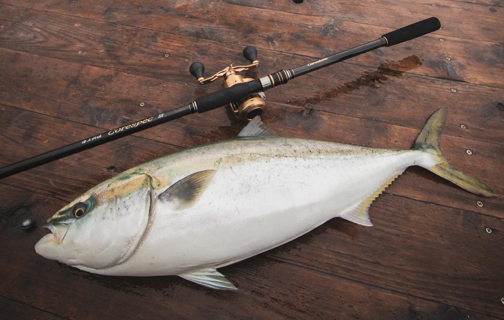 釣り上げたワラサと海上釣堀コアスペックⅢを並べた写真
