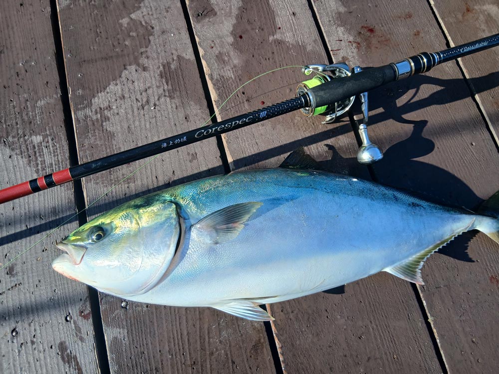 釣り上げた青物魚と、その横に置かれたコアスペック3