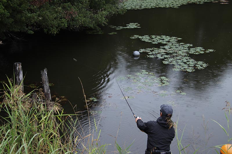竿を振り、仕掛けを投入している赤松の後ろ姿