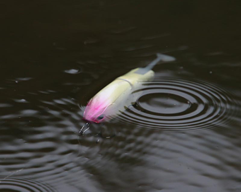 水中を泳ぐように進むルアー