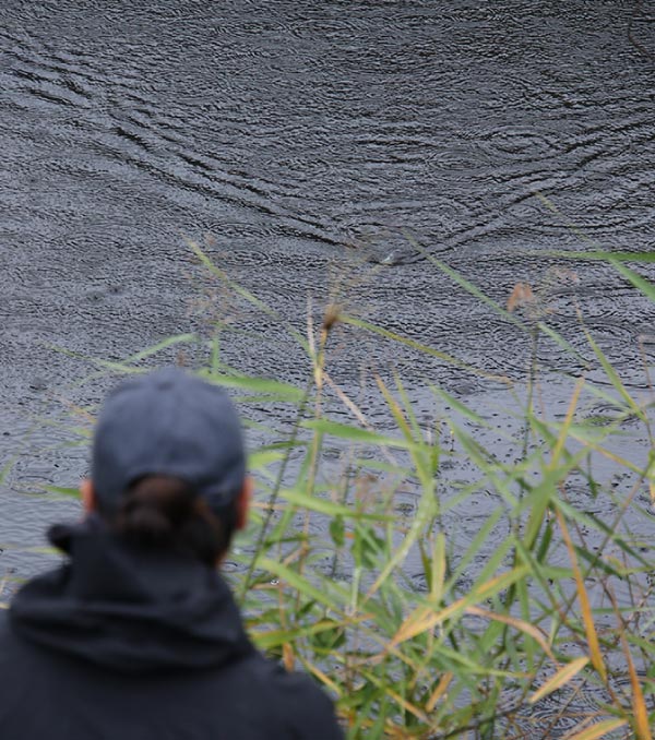 赤松の後ろ姿。その視線の先の水面は波打っている。